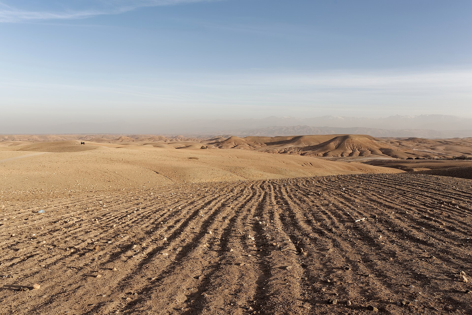 Agafay Desert Sunset Trip