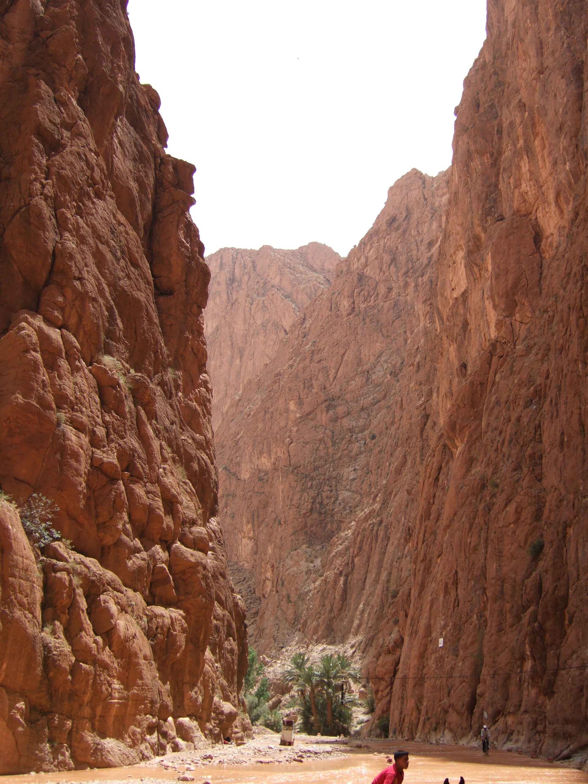 Ouarzazate & Todra Gorge Tour